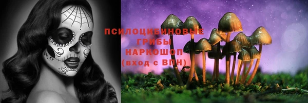 a pvp Баксан