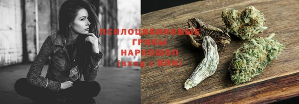 героин Няндома