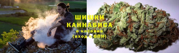 крисы Балабаново