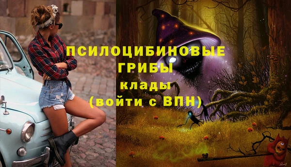 бошки Балахна