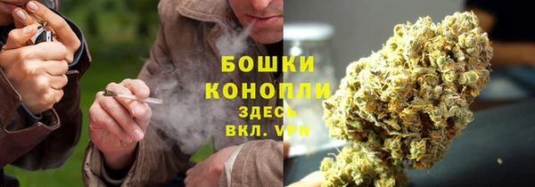 крисы Балабаново